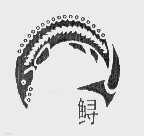 鲟