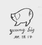 肥猪仔   YOUNG BIG
