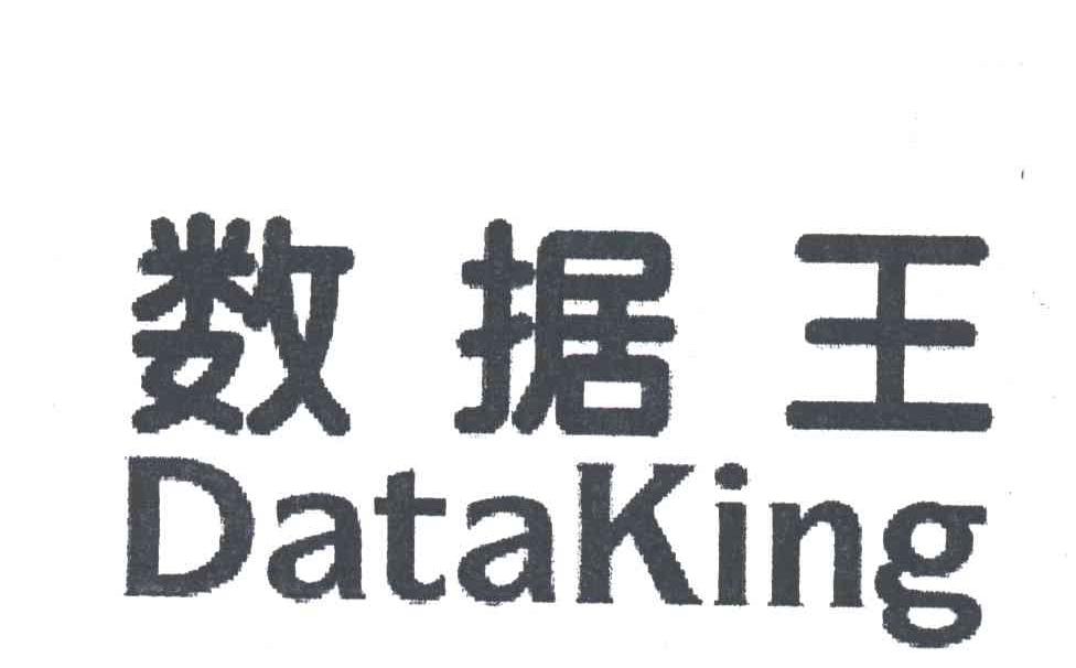 数据王;DATAKING
