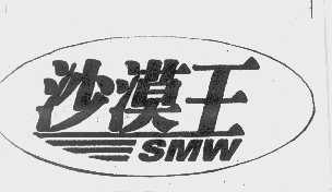 沙漠王   SMW