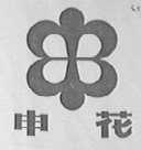 申花