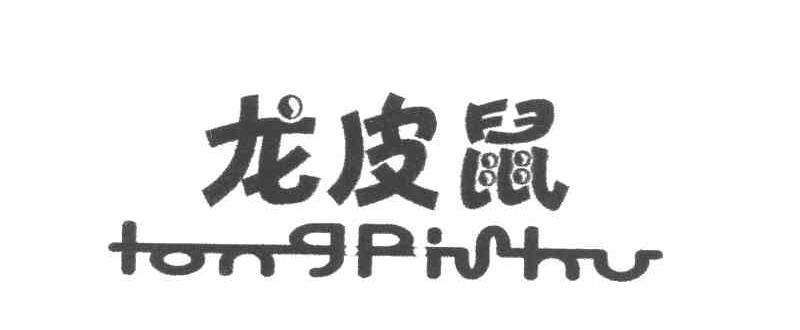 龙皮鼠