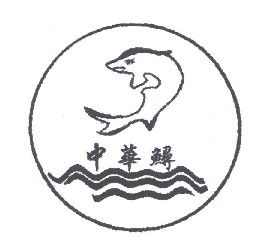 中华鲟