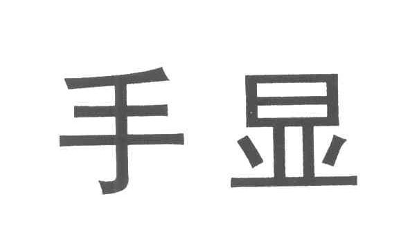 手显