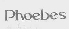 PHOEBES