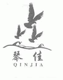 琴佳