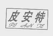 皮安特