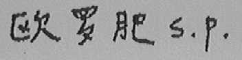 欧罗肥  S.P.