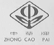 中草
