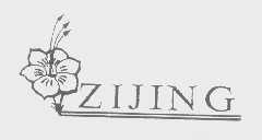 ZIJING