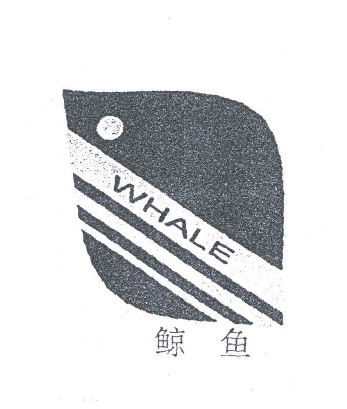 鲸鱼;WHALE