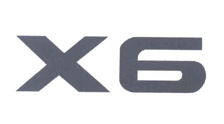 X 6