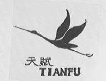 天赋