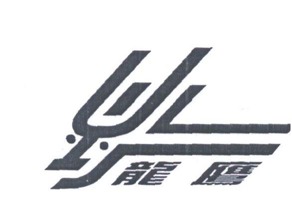 龙鹰