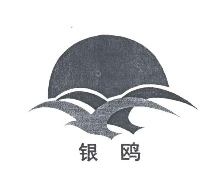 银鸥