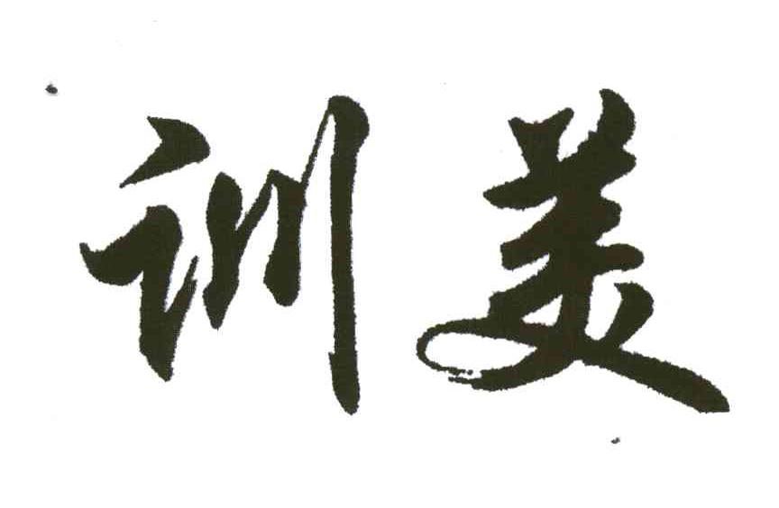 训美
