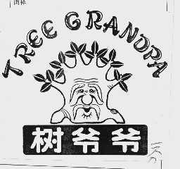 树爷爷  TREE GRANDPA