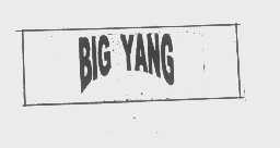 BIG YANG