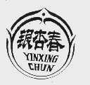 银杏春