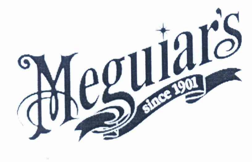MEGUIAR'S SINCE
