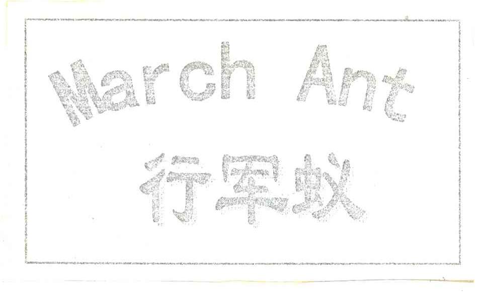 行军蚁;MARCH ANT