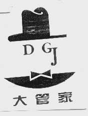 大管家 DGJ