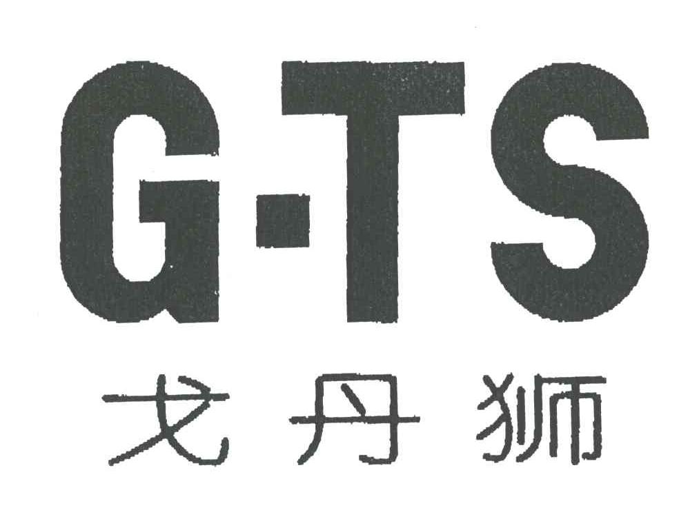 戈丹狮G.TS