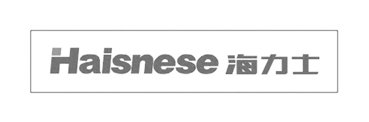 海力士 HAISNESE