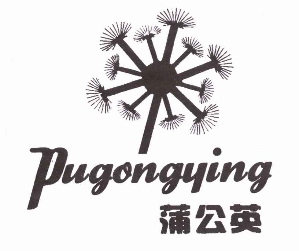 蒲公英
