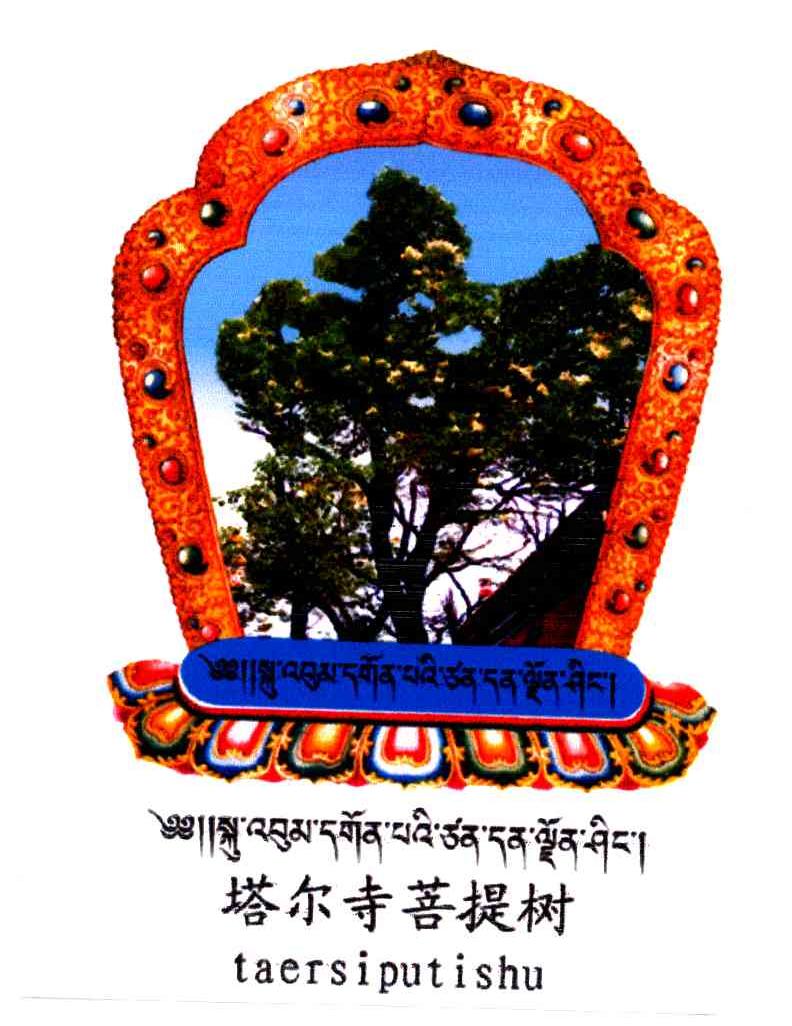 塔尔寺菩提树
