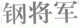 钢将军