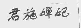 君施婵妃