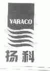 扬科;YARACO