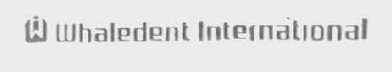 WHALEDENT INTERNATIONAL