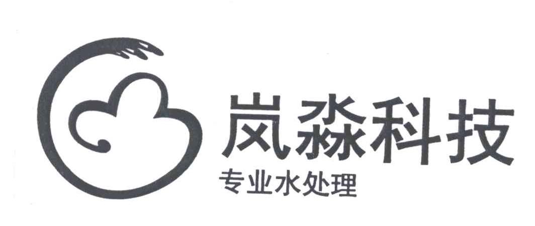 岚淼科技专业水处理