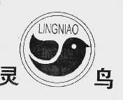 灵鸟