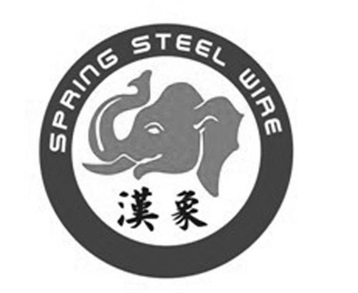 汉象 SPRING STEEL WIRE