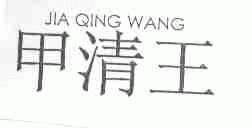 甲清王