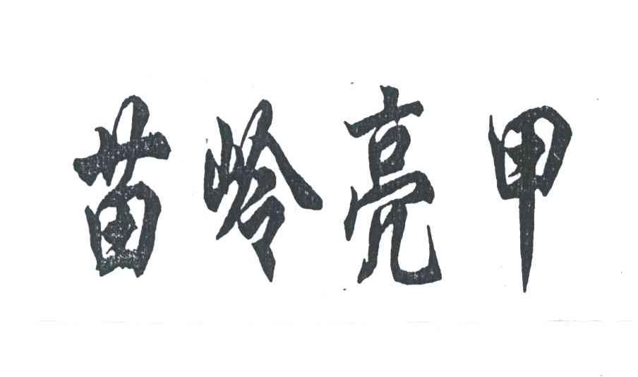 苗岭亮甲