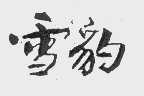 雪豹