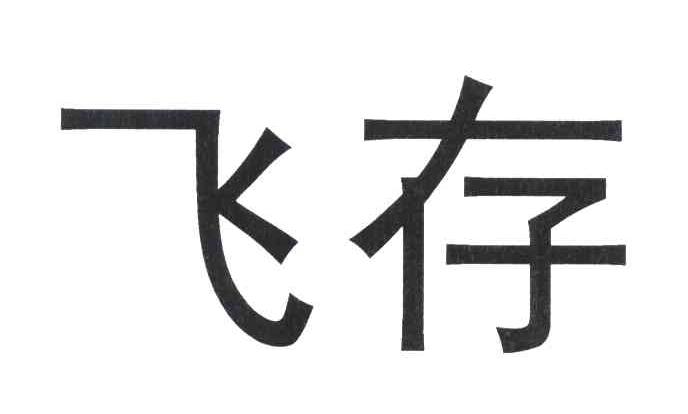 飞存
