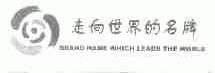 走向世界的名牌;BRAND NAME WHICH LEADS THE WORLD