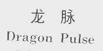 龙脉   DRAGON PULSE