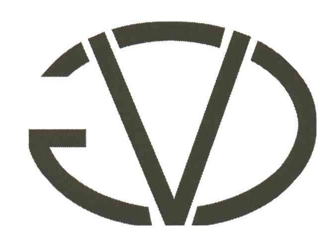 V;VG