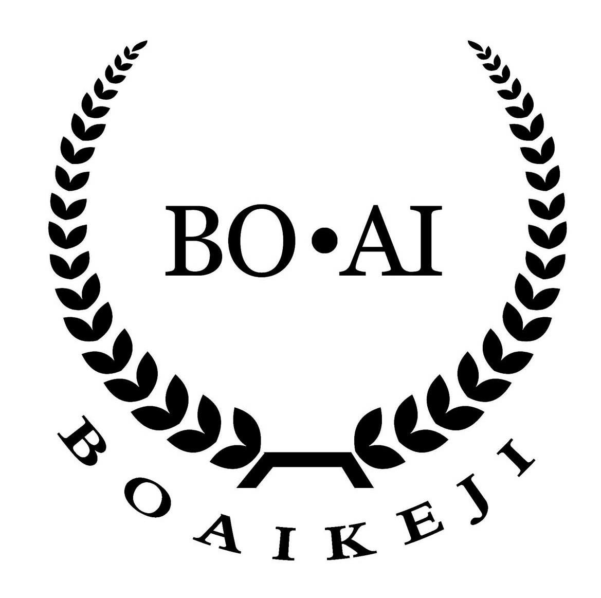 BO AI BOAIKEJI