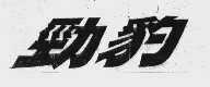 劲豹