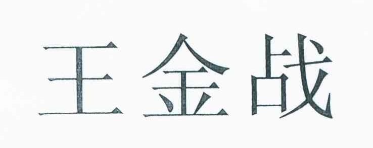 王金战