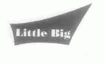 LITTLE BIG
