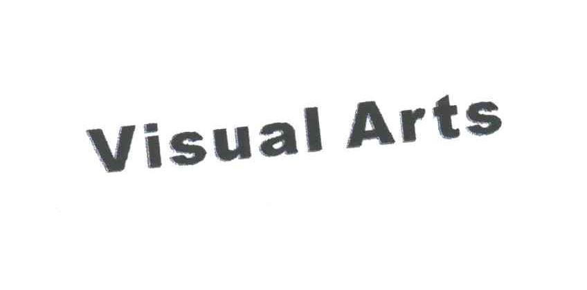VISUAL ARTS