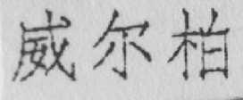 威尔柏